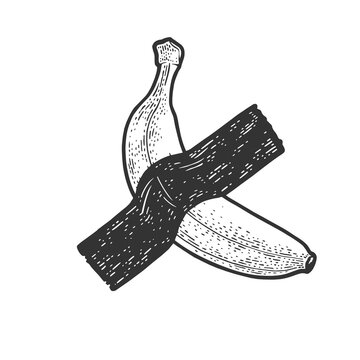 banana taped to wall by adhesive tape modern art sketch engraving vector illustration. T-shirt apparel print design. Scratch board imitation. Black and white hand drawn image.