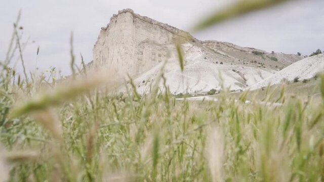 Green grass close-up. Footage. Suumer landscape. Grass swaying in the wind. Mountain or rock on background.