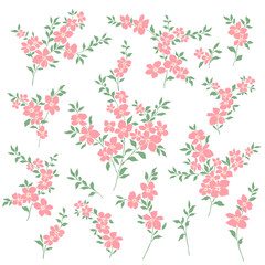 Beautiful flower illustration material collection