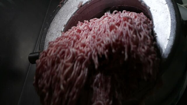 Industrial Meat Chopper for Pork or Beef Meat working, making Minced meat.