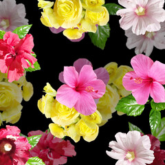 Beautiful floral background of hibiscus, begonia and mallow. Isolated