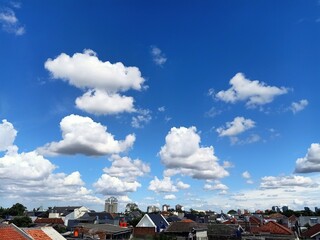 roofs of the city