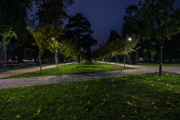 The teiled road in the night park with lanterns in autumn. Bench