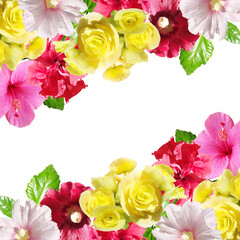 Beautiful floral background of hibiscus, begonia and mallow. Isolated