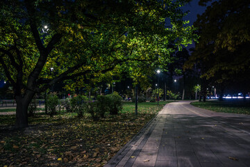 The teiled road in the night park with lanterns in autumn. Benches in the park during the autumn season at night. Illumination of a park road with lanterns at night. Park Kyoto