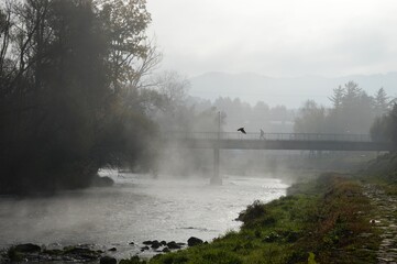 morning autumn fog and bridge