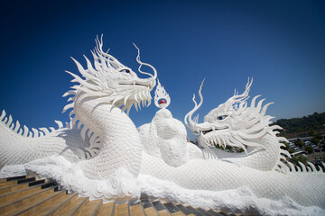 White dragon heads