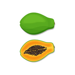 Papaya vector isolated on white background
