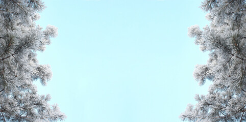 Merry Christmas and winter landscape mock-up for copy space. Snow covered frozen pine tree