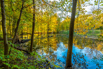 Potawatomi Woods and Lake view in Wheeling Township of Illinois