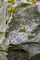 Ancient stone surface with moss and lichen