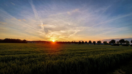 sunset over agricultural fields near Bergheim