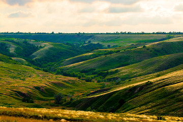 Slopes of hills summer landscape. Valley on the hillside with green and feather grass