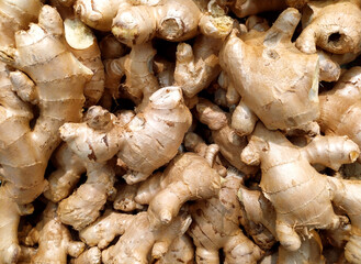 Fresh organic ginger. View from above. It's a lot of spicy. Health. Spices. Lots of ginger root....
