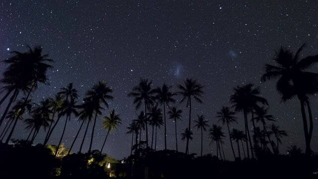 Southern hemisphere star time lapse with palm tree silhouette.  Magellanic clouds