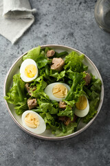 Healthy green salad with tuna and eggs