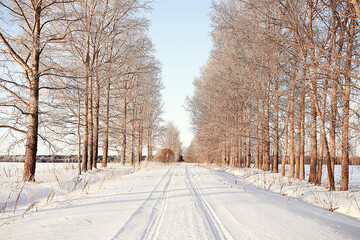 winter road abstract landscape, seasonal path december snow