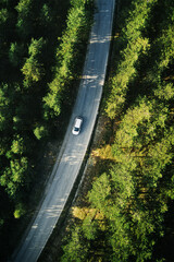 Top view of single white car driving through forest in Zlatibor, Serbia © Bits and Splits