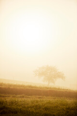 Obraz premium misty sunrise