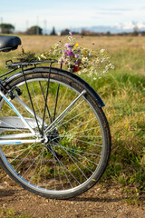 Fototapeta na wymiar bike in the field, view from the rear wheel, wildflowers on the baggage rack, outdoor bike ride
