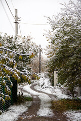 windmill in the snow