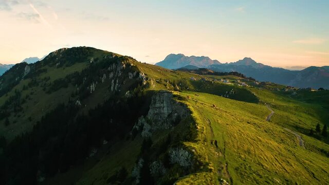 Flying Over Precipice and Cow's Herd, Revealing Mountain Village And Alps in the Background. Sunrise, Velika Planina, Slovenia. 