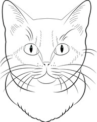 Coloring cat. Cat drawn with lines, for coloring.