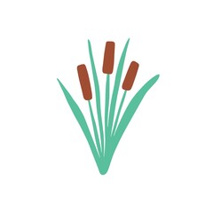 Reed in grass isolated element. Flat cane clipart