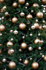 Green christmas tree decorated with golden balls.
