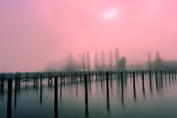 Bodenseeufer Insel Reichenau © Ilhan Balta