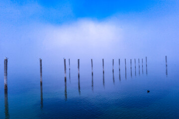 Bodenseeufer Insel Reichenau