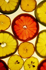 Fototapeta na wymiar Sliced citrus fruits background on a light table. Transparent citrus fruit slices. Red grapefruit, oranges, lemons, lime, mandarins