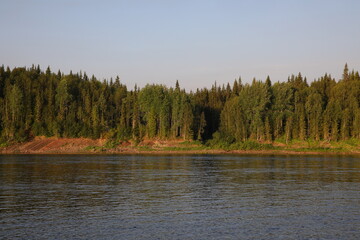 Obraz premium River landscape with forest on the coastline illuminated by morning light.Sunny beach with a thicket of coniferous trees.Ripples on the water surface in the picturesque wilderness.Remote Russia