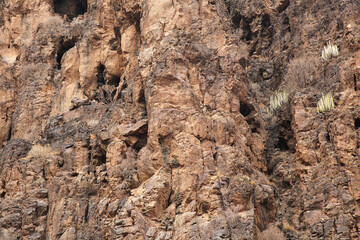 Gran Canaria, landscapes along the hiking route around the ravine Barranco Hondo, The Deep Ravine...