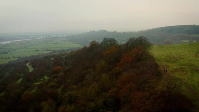 Aerial Hadleigh Castle flying over Tree line DJI Mavic 2 Pro 4K