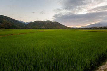 Sunset in Cam Ranh mountains Vietnam