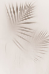 Blurred green palm leaves on off white background