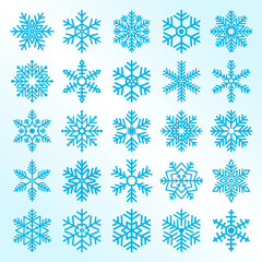 Set of snowflakes snow flake vector