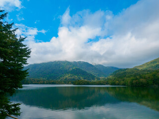 Fototapeta na wymiar Calm lake in early autumn (Tochigi, Japan)