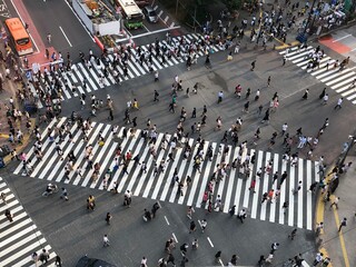 Shibuya scramble intersection in Japan