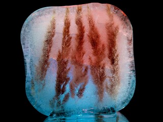 creative macro photography of dry grass frozen in ice and backlit in the dark
