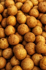 Chikoo fruit in the Indian market