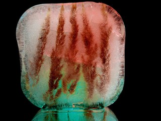 spikelets of dry grass frozen in ice in abstract and creative macro photo