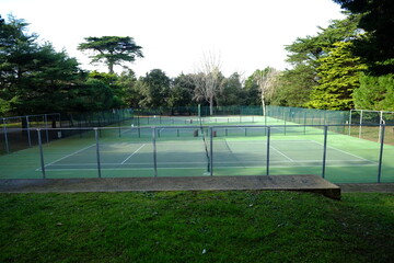 A tennis court in a small wood.