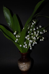 Blooming lily of the valley on a dark background. Photo among green leaves