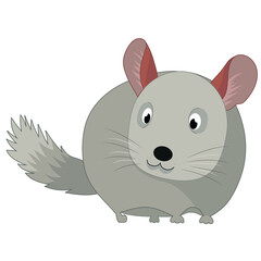 Vector illustration of a chinchilla. children's illustration of a pet. Gray, cute, and fluffy chinchilla.
