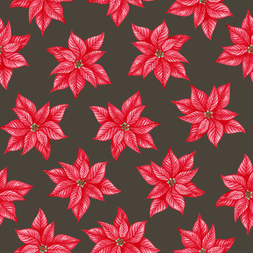 Watercolor Christmas seamless pattern with red flowers. Hand-painted winter design with a poinsettia on brown background. Holiday illustration for print, wallpaper, fabric, design and sale.