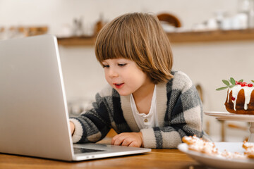 Pleased beautiful boy using laptop while sitting at home kitchen