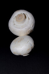 Champignons. Photo of mushrooms on a dark background
