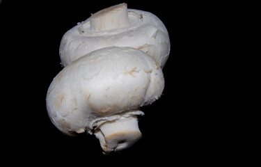 Champignons. Photo of mushrooms on a dark background
